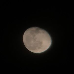 Meet your Posher, Alyssia